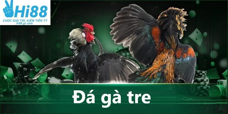 đá gà tre
