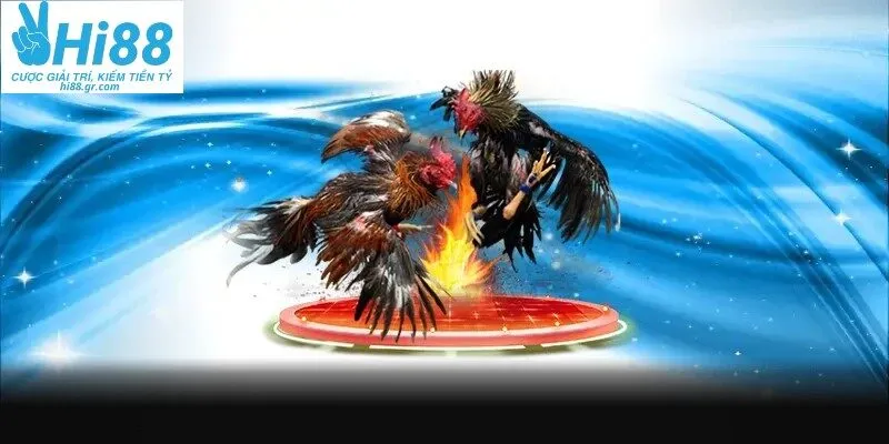 Nhà cái mang đến công nghệ livestream chuyên nghiệp